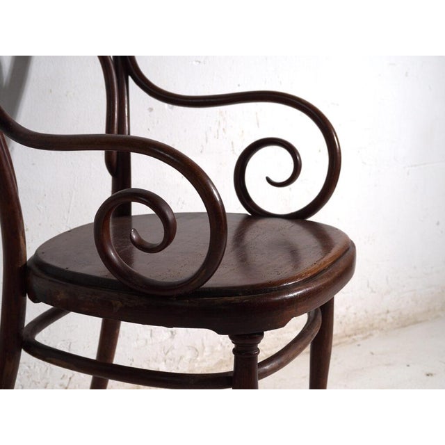 Early 20th Century Armchair in Bentwood from Thonet, Austria, 1900 For Sale - Image 5 of 10
