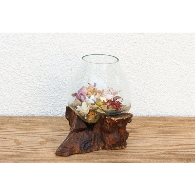 Contemporary Natural Teak Mouth-Blown Glass Bowl For Sale - Image 3 of 7