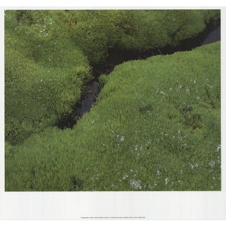 Archiv Kiedrowski Moss Cushion, Iceland, 2009 For Sale