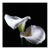 Calla Lily (Large), Jonathan Singer, Photography For Sale