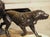 French A French 1930s Hunting Dog Group on Marble Base For Sale - Image 3 of 18