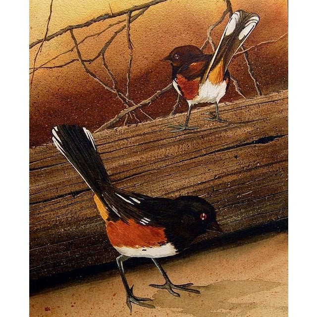 Rustic 1976 Spotted Towhee Sparrow Painting by Jerry Weers For Sale - Image 3 of 4