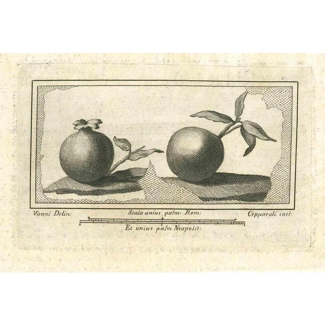 Ancient roman fresco, from the series "antiquities of herculaneum", is an original etching on paper realized from a design...