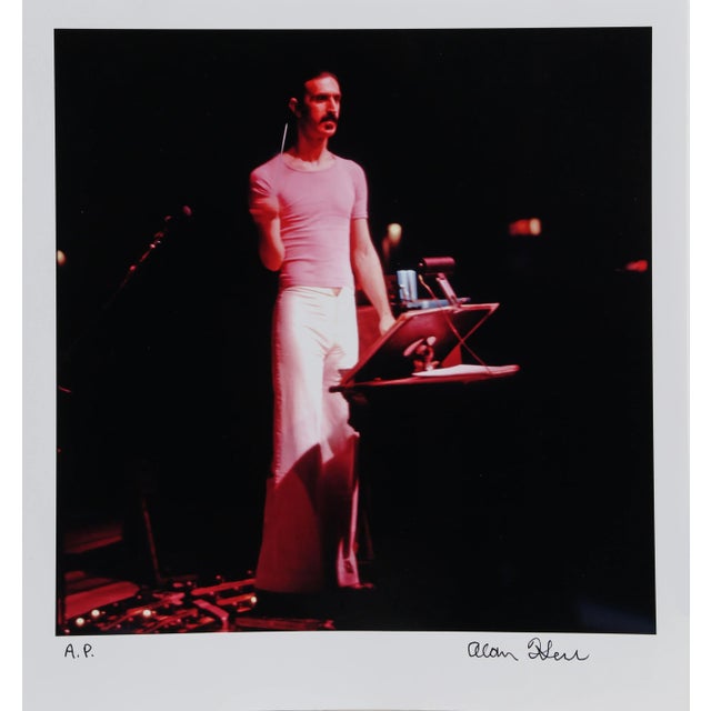 Photorealism Frank Zappa 1, Alan Herr Digital Print For Sale - Image 3 of 3