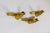 Art Deco 1920s Two Art Deco Gilt Bronze Avian Theater Sconces, Pair For Sale - Image 3 of 11