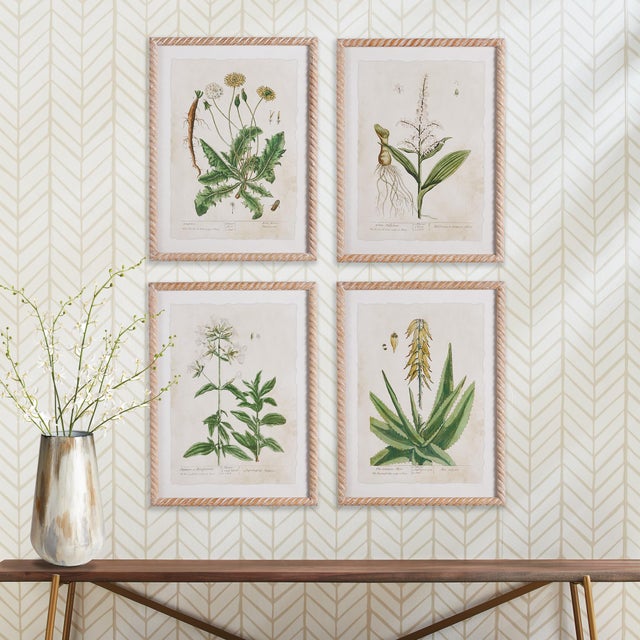 Chinese Vintage Botanical Study, Set Of 4 For Sale - Image 3 of 5
