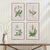 Chinese Vintage Botanical Study, Set Of 4 For Sale - Image 3 of 5
