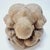 Vintage Wooden Spherical Sculpture of Weeping Buddha, 1960s For Sale - Image 10 of 14