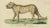 This image is an illustration from a natural history work, a collection titled "Getreue Abbildungen naturhistorischer...