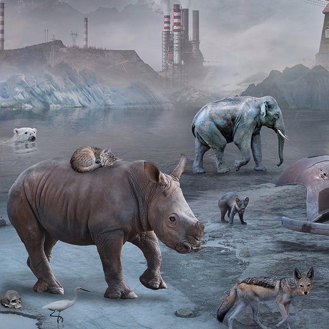 Early 21st Century Twilight by Marcin Owczarek | Photography - Dye Sublimation on Aluminum surreal landscape with animals For Sale - Image 5 of 5