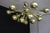 1990s Gold Color Mercury Chandelier with Globes of Murano Glass in the Form of Half Sputnik, 1980s For Sale - Image 5 of 16