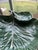 1950s Vintage Bordallo Pinheiro Cabbage Leaf Chip Dip Serving Dish Bowl Plate Entertaining For Sale - Image 5 of 6