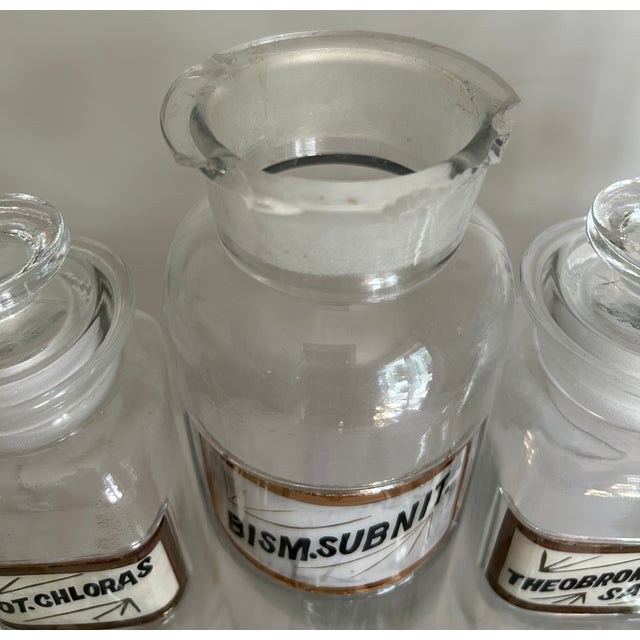 Glass Antique Whitall Tatum Co. Reverse-Painted Gilded Label Apothecary Jars, Set of 16 For Sale - Image 7 of 8