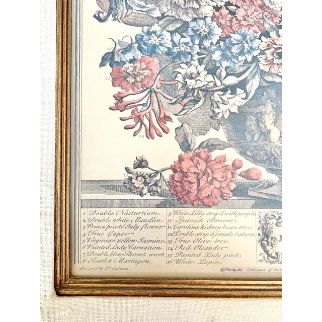 Robert Furber “12 Months of Flowers, July” Vintage Print, Gold Wood Frame For Sale In Dallas - Image 6 of 10