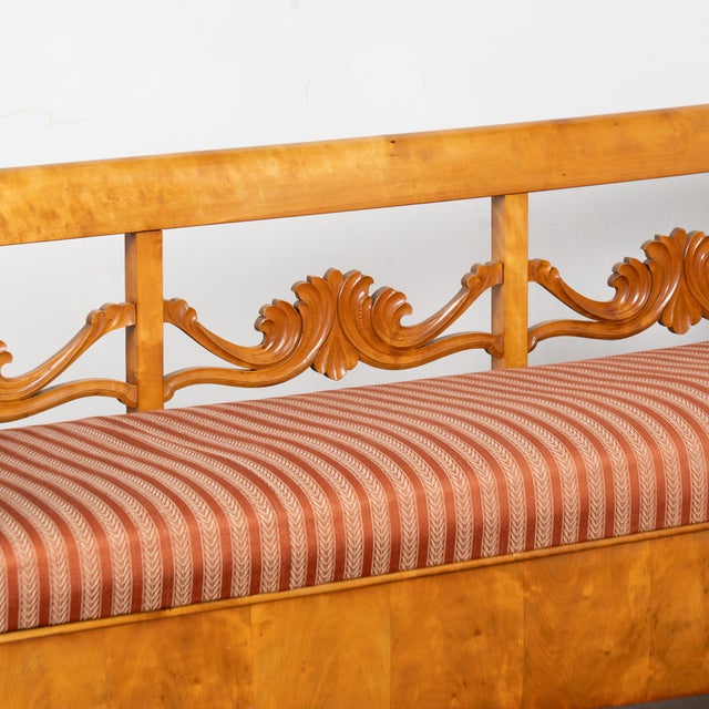 19th Century Swedish Karl Johan Birch Bench For Sale - Image 9 of 18
