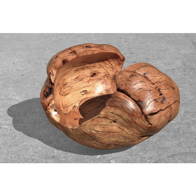Contemporary Beech Vessel 1396 by Jörg Pietschmann For Sale - Image 3 of 7