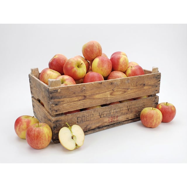 Vintage Dutch Wooden Fruit Basket, 1970s For Sale - Image 11 of 11