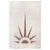 Doris Leslie Blau Midcentury Moroccan Natural Undyed Wool Rug For Sale