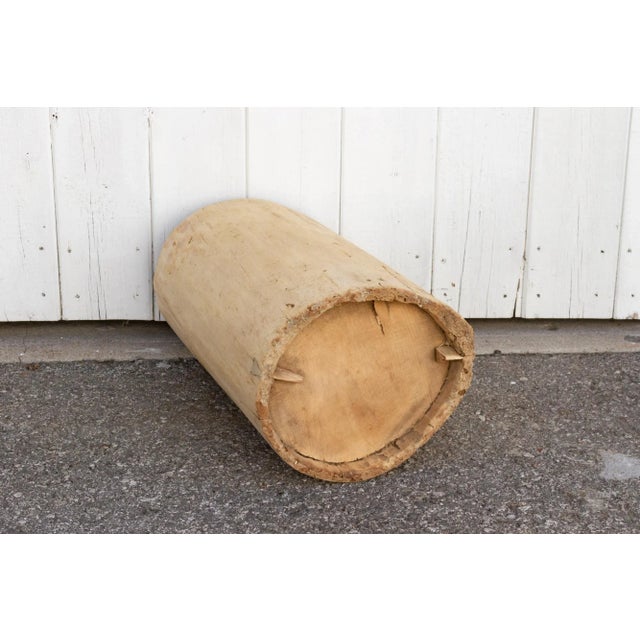 Wood Tall Bleached Tree Trunk Planter For Sale - Image 7 of 10
