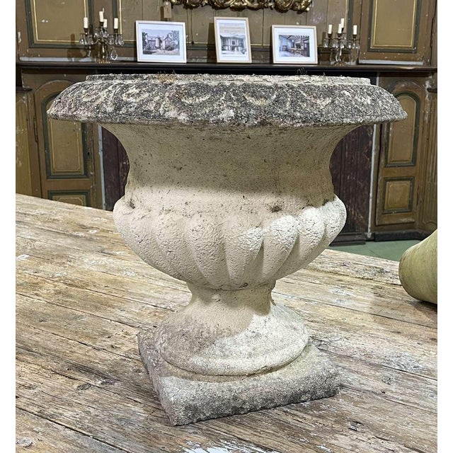 Medici Statue in Reconstituted Stone, 1970s For Sale - Image 4 of 4