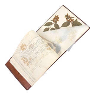 c.1900 Herbarium Album With 26 Specimens, Hand-Drawn Studies & Calligraphic Manuscript For Sale