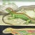 The country life vintage pull-down wall chart by the artist group of Jung Koch Quentell is showing a sand lizard, Lacerta...