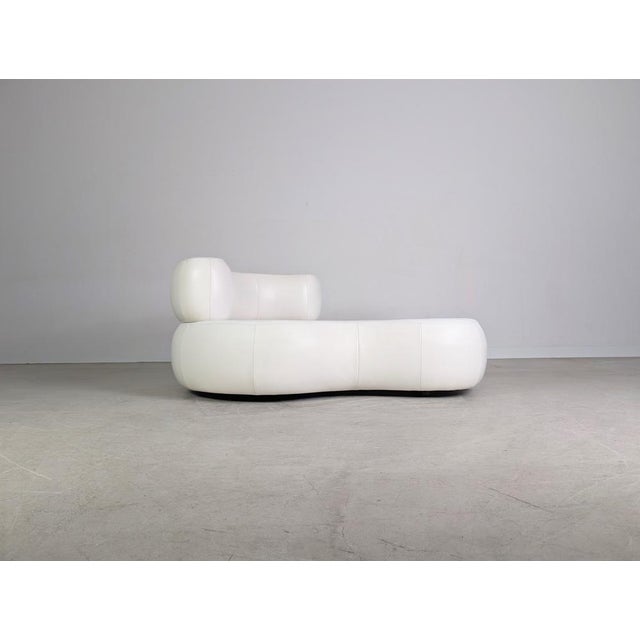 Who's Perfect Sofa in Leather by Guiseppe Viganò For Sale - Image 6 of 11
