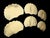 1990s Gold Clamshell Sea Shell Placemats - Set of 6 For Sale In Charlotte - Image 6 of 14