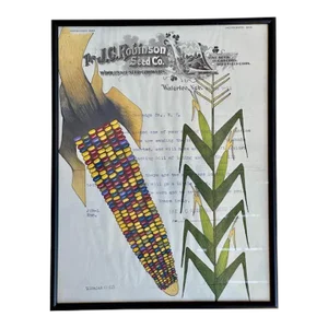 Contemporary Native American Ledger Drawing of Indian Corn on Antique Invoice