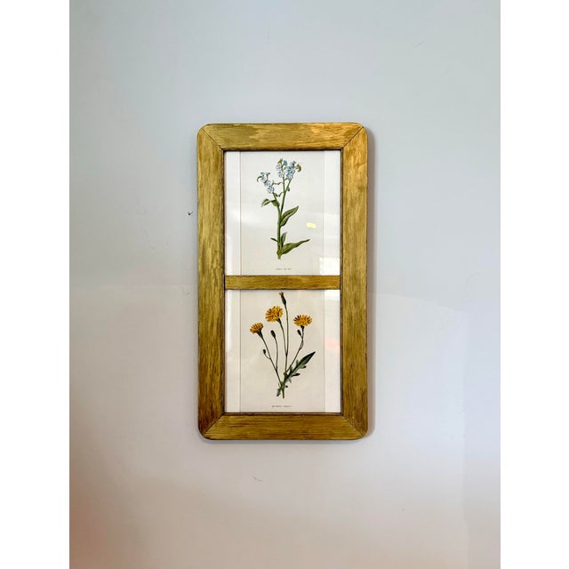 Antique Victorian Botanical/Floral Prints In Gilt Frames (Set Of Two Plates in a Single Vertical Frame). A set of two...