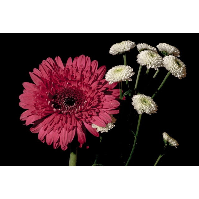 Baroque 2021 "Pink and White Delicate Flowers" Baroque Style Giclée Print by Kind of Cyan For Sale - Image 3 of 7