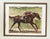 Vintage 1984 Hand Colored Etching of Famous Race Horse “Ruffian” and Jockey For Sale - Image 4 of 8