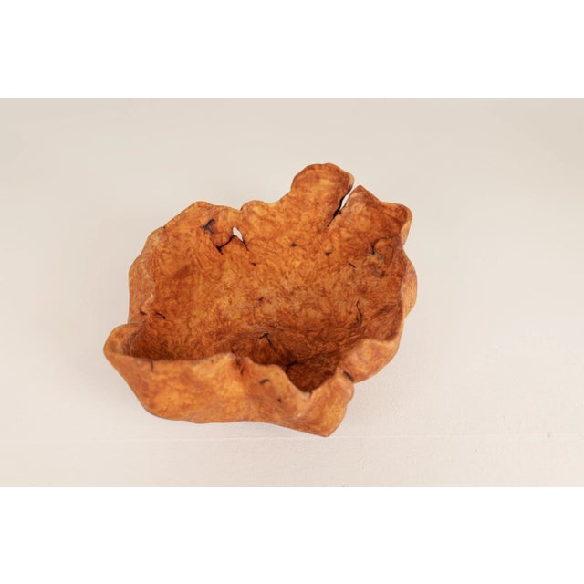 Large Scandinavian Modern Swedish Folk Art Organic Burl Bowl, 1960s For Sale - Image 9 of 11