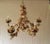 Custom Art Deco Style Natural Sea Shell Chandelier For Sale - Image 9 of 9