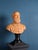 Unknown, Italian School, Bust of Andrea Palladio, 19th Century, Terracotta For Sale - Image 6 of 6