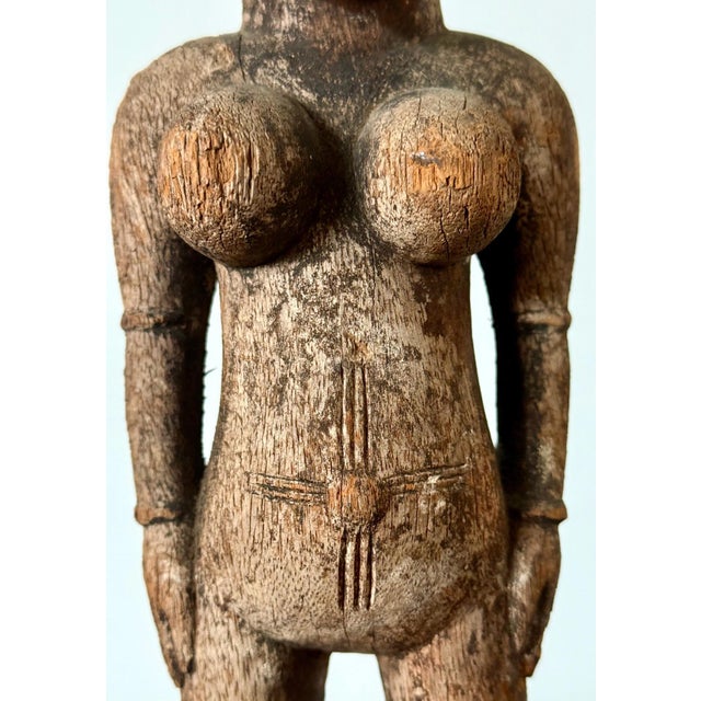 African Senufo Divination Statue from Cote d'Ivoire For Sale - Image 12 of 17