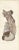 Hirschfeld and Leveille, Vagus and Sympathetic Nerves of the Trunk, 1866, Paper For Sale - Image 12 of 12