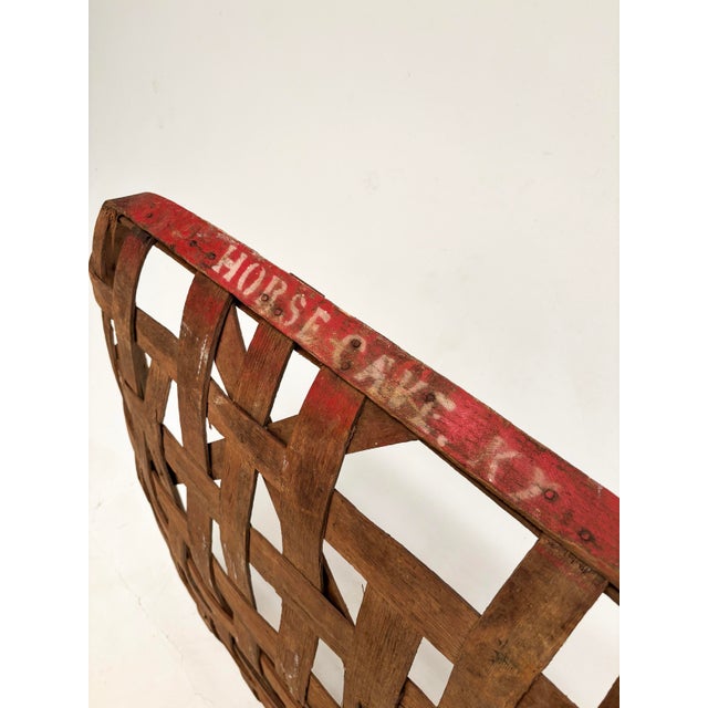 Kentucky Burley Tobacco Basket With Original Red Rim, Horse Cave, C. 1880-1910 For Sale - Image 15 of 17