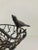 Metal Vintage Wrought Iron Bird & Branch Basket For Sale - Image 7 of 8