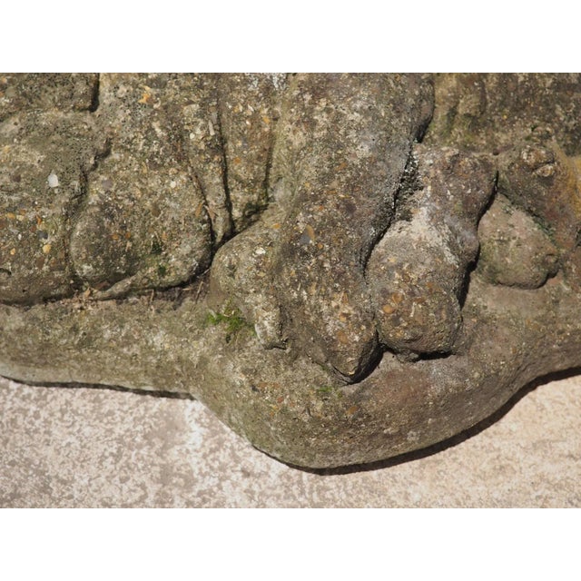 Mid 20th Century Weathered Cast Stone Pig and Piglets From England, 20th C. For Sale - Image 5 of 13