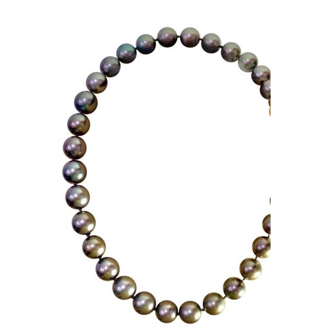 Black 8-11.5 mm Tahitian Black Graduating Pearls Strand Necklace Yellow Gold Clasp 18K For Sale - Image 8 of 18