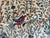Hand-Knotted Afghan Tree of Life Pictorial Wool Area Rug - 8'1" X 9'9" For Sale - Image 10 of 13