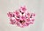1980s 1980s Italian Style Pink Floral Crystal Flush Mount Chandelier, 3-Light For Sale - Image 5 of 17