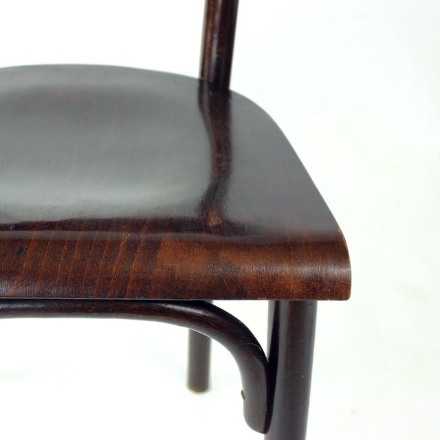 Bentwood Chair, Former Czechoslovakia, 1950s For Sale - Image 10 of 10