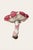 'Caesar's Mushroom' (Amanita caesarea) – Botanical Fine Art Print This fine art print features a beautifully detailed...