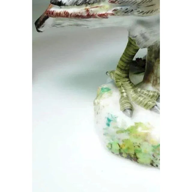 19th Century Volkstedt German Porcelain Game Bird Figures - a Pair For Sale - Image 10 of 11