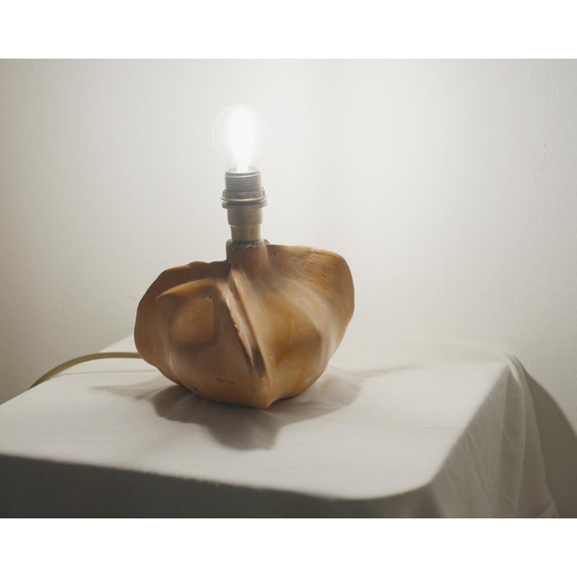 Orange Ceramic Tim Orr Sculpture Lamp in Neutral Terracotta, 1970s For Sale - Image 8 of 17