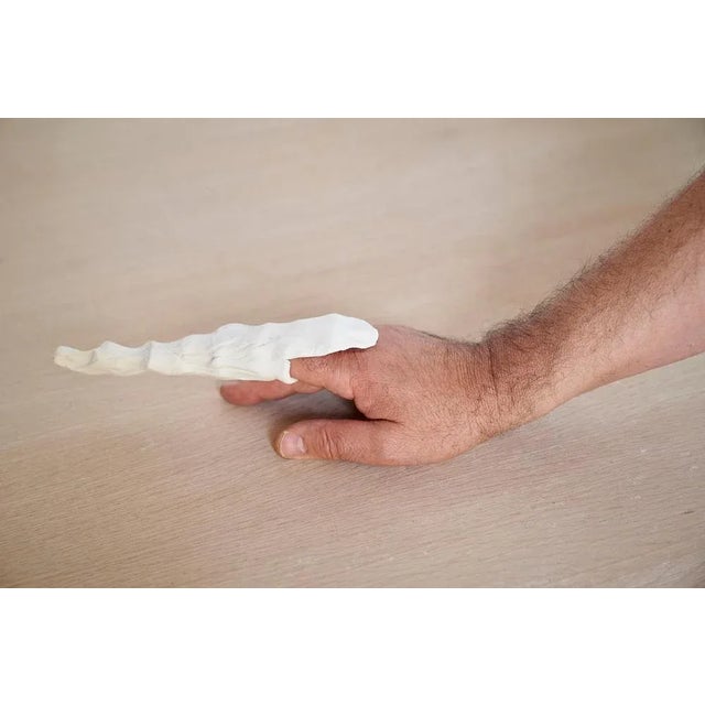 Primitive Sculpture by Jean-Baptiste Van the Hede, Set of 20 For Sale - Image 9 of 11