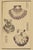 Vintage Japanese Scallop Shells, Woodblock Print Reproduction, 32" X 48" For Sale