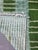 2020s Green Moroccan Rug Handmade Striped Rug - 10 X 8.4 Ft For Sale - Image 5 of 8